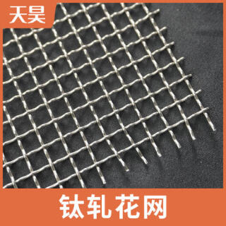2-10目大絲大孔純鈦軋花網